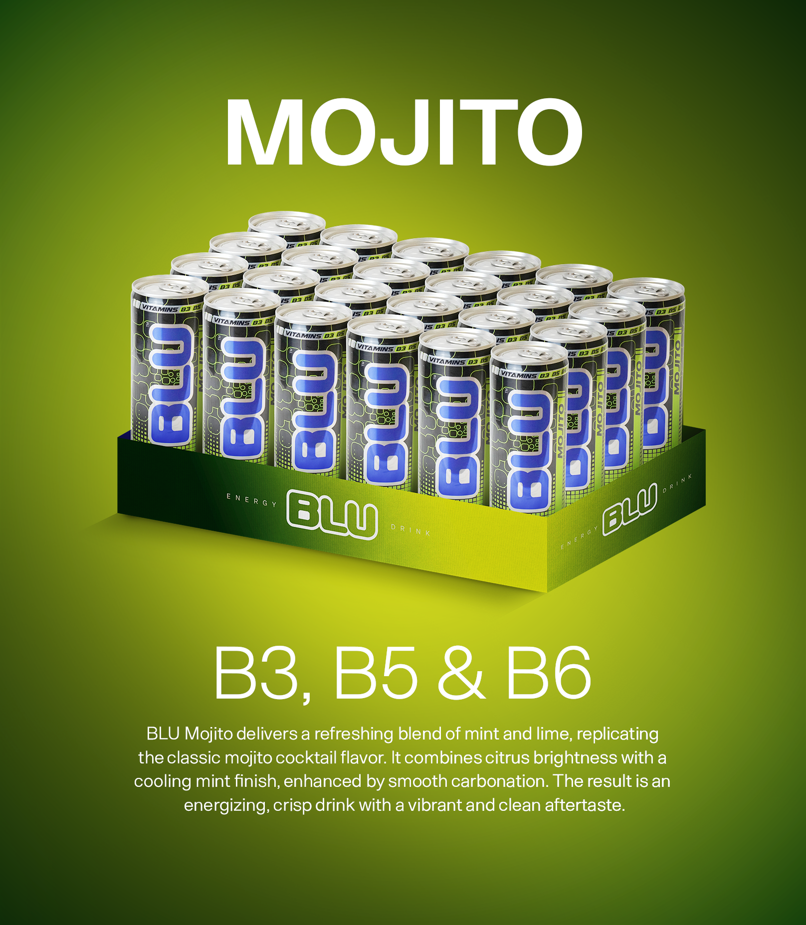 Mojito (24-Pack)
